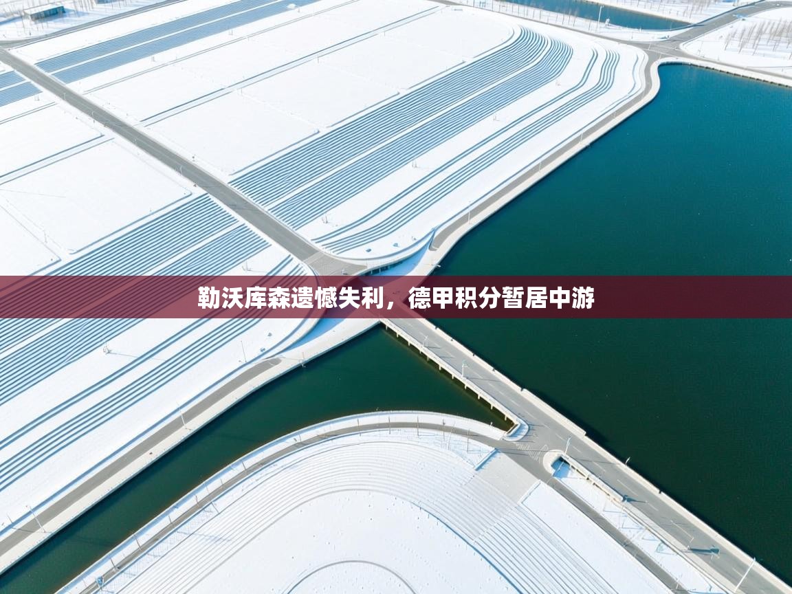 勒沃库森遗憾失利,德甲积分暂居中游 第2张