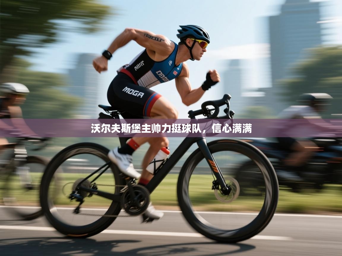 沃尔夫斯堡主帅力挺球队，信心满满  第1张