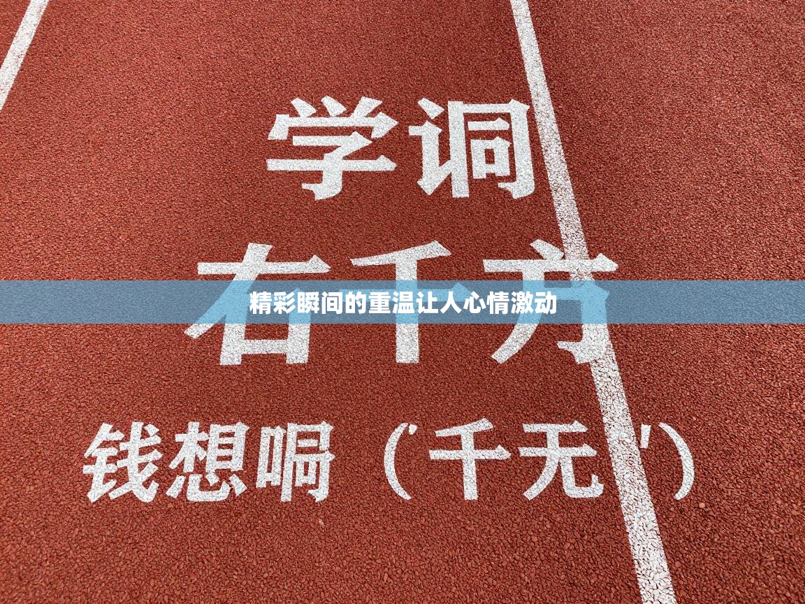 精彩瞬间的重温让人心情激动  第2张